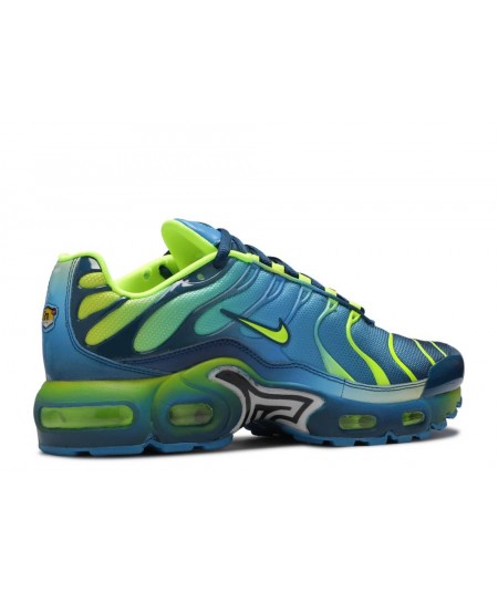 Nike Air Max plus gs ‘blue force’