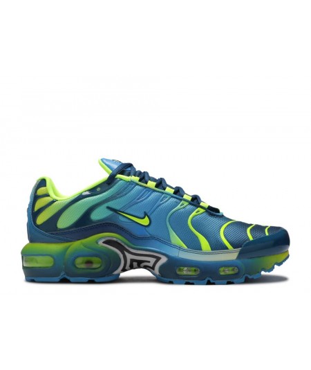 Nike Air Max plus gs ‘blue force’